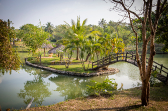 Sri Lanka - Yapahuwa - Ayurveda Paradise Maho